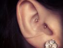 daith piercing med guld stav 1600 1000