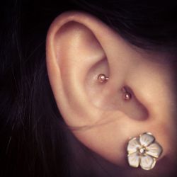 daith piercing med guld stav 1600 1000 daith piercing med guld stav 1600 1000