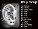 ore.piercing.typer 1600 1000