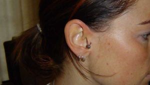 tragus.piercing.ring 1600 1000 tragus.piercing.ring 1600 1000